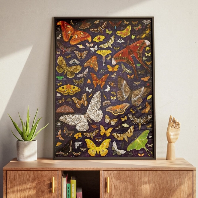 Puzzle 1000 prvků Puzzlove Moths
