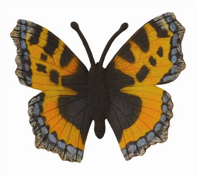 Babočka kopřivová
