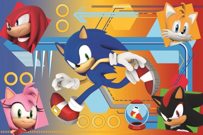 Puzzle Sonic v akci/Sonic The Hedgehog 33x22cm 60 dílků v krabici 21x14x4cm
