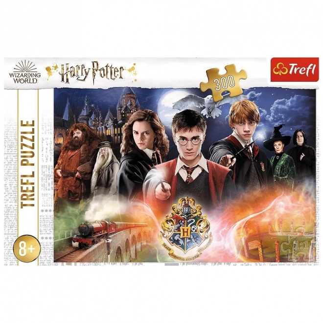 Tajemný Harry Potter puzzle 300 dílků