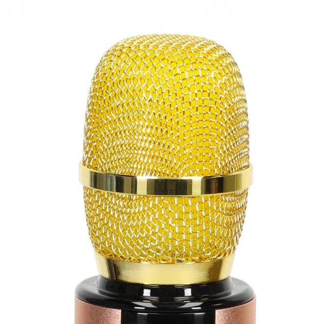 Bezdrátový mikrofon na karaoke Bluetooth černý – Zlatý