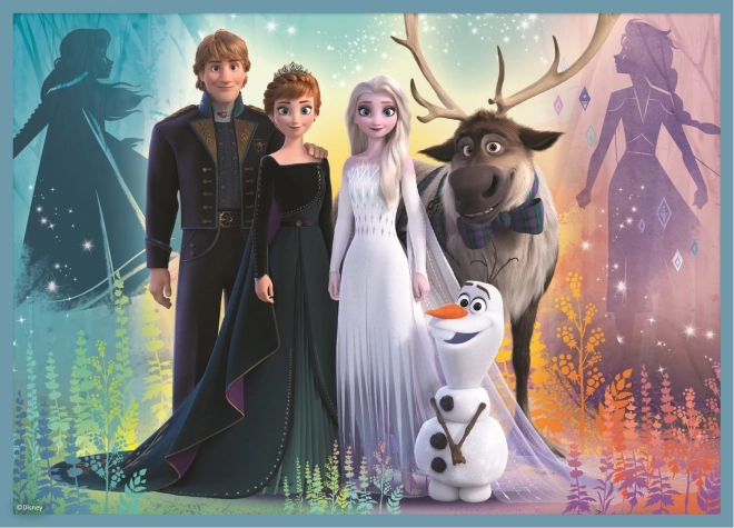 Frozen Puzzle 4v1 (12, 15, 20, 24 dílků) - Nádherný svět