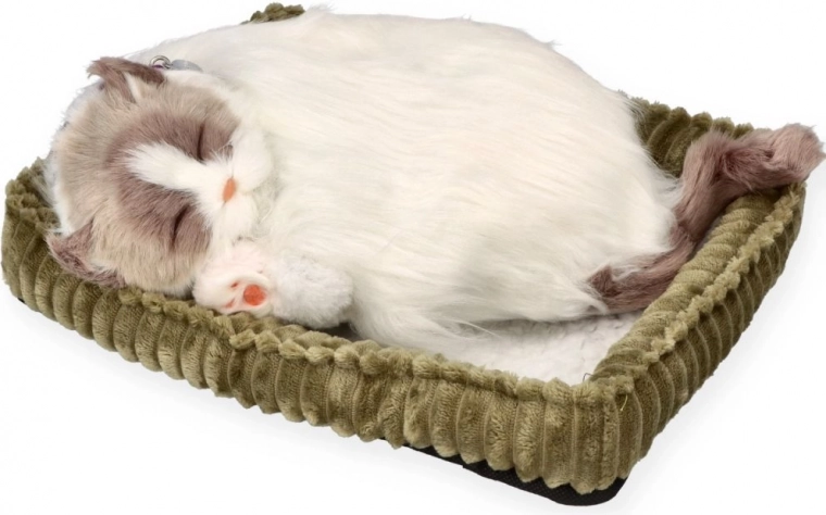 Realistický spánek pro uklidnění