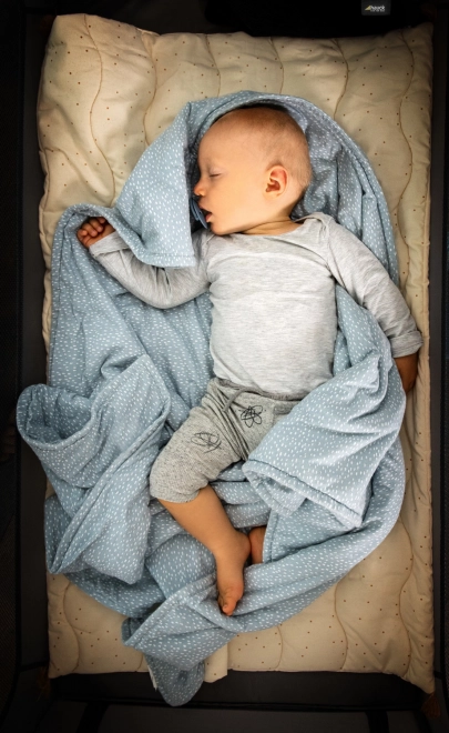 Hauck Cestovní postýlka Sleep n Play Go Plus grey ¨
