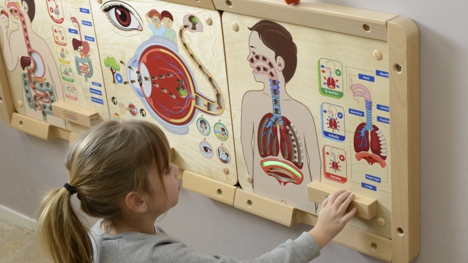 Vzdělávací tabule dýchací systém Montessori