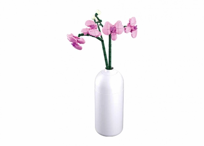 Sluban Orchidej ve Váze