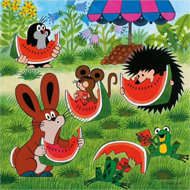 Dino Krteček a paraplíčko puzzle 3x55 dílků