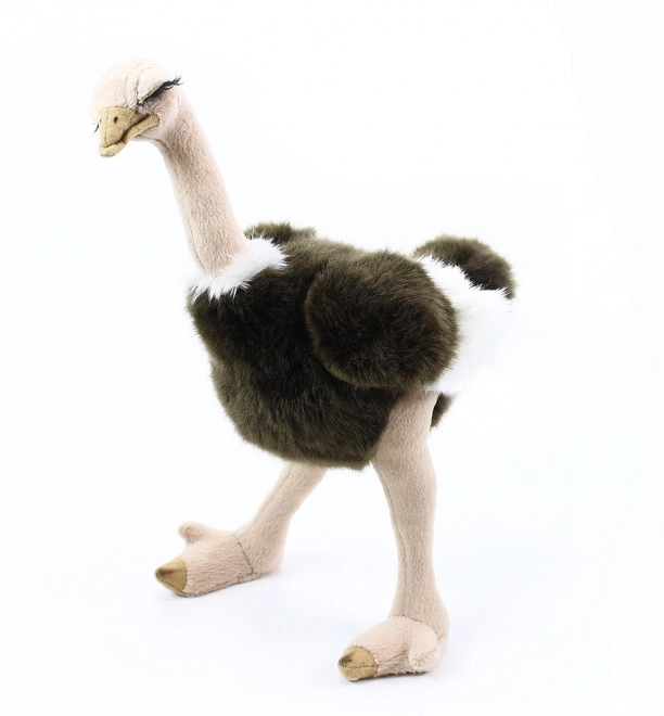 Rappa Plyšový pštros Emu 32 cm