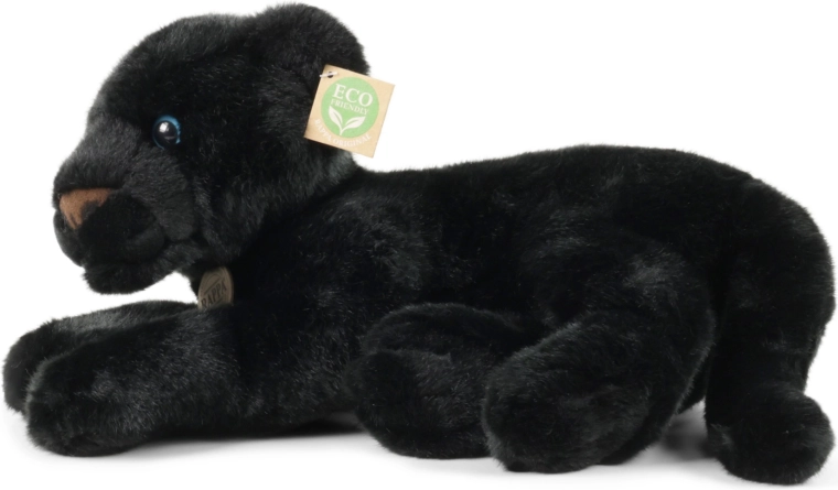 Ideální společník