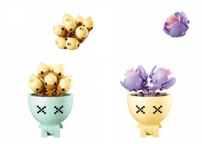 Sukulenty ve květináči Sluban Flowers