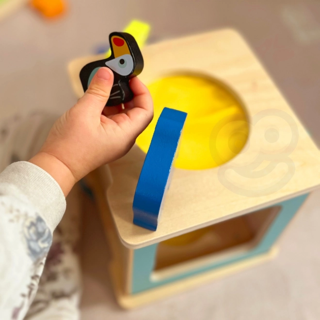 Edukační Montessori box pro děti ve věku 31-36 měsíců