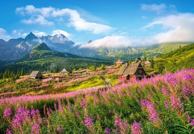Puzzle 1000 dílků Hala Gąsienicowa Tatry Polsko