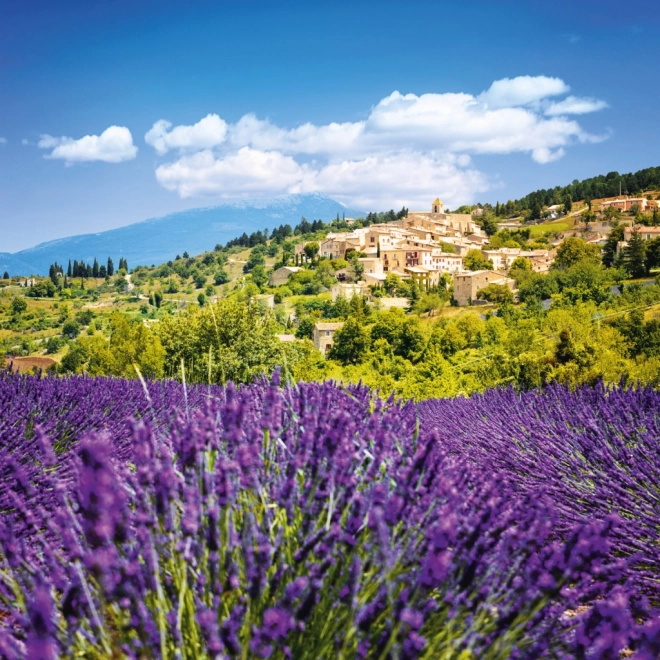 Poznámkový kalendář Provence 2026