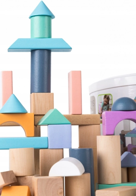 Dřevěné kostky 100 ks ve vědru se sortérem Ecotoys