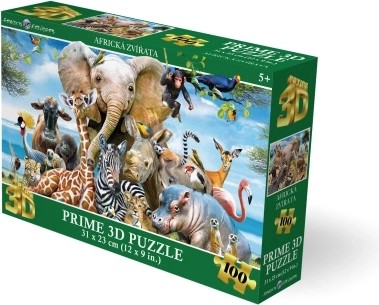 3D puzzle Africký úsměv 63 dílků
