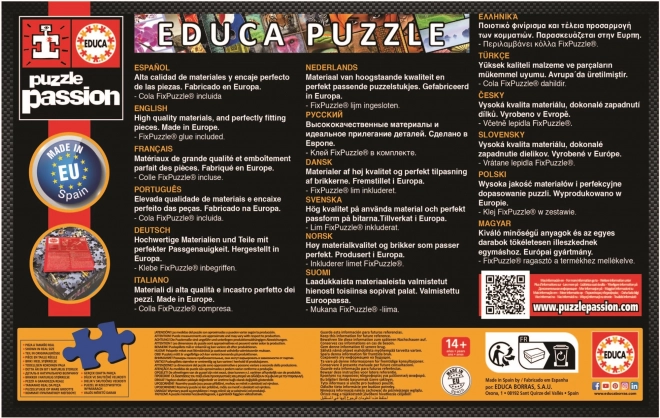EDUCA Puzzle Neuschwanstein 1000 dílků