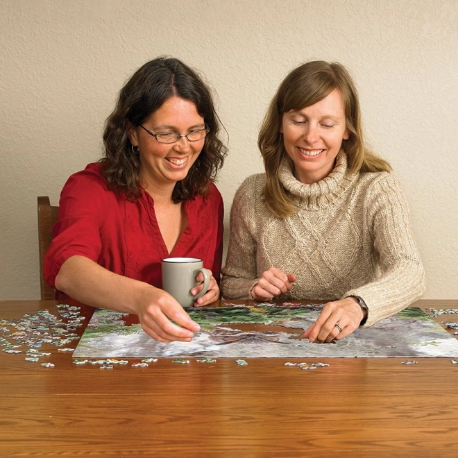 COBBLE HILL Puzzle Výr virginský 1000 dílků