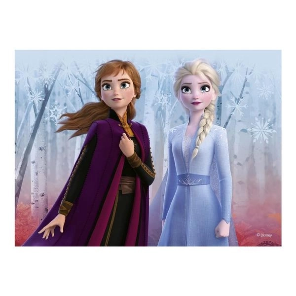 FROZEN II 12 Dřevěné kostky