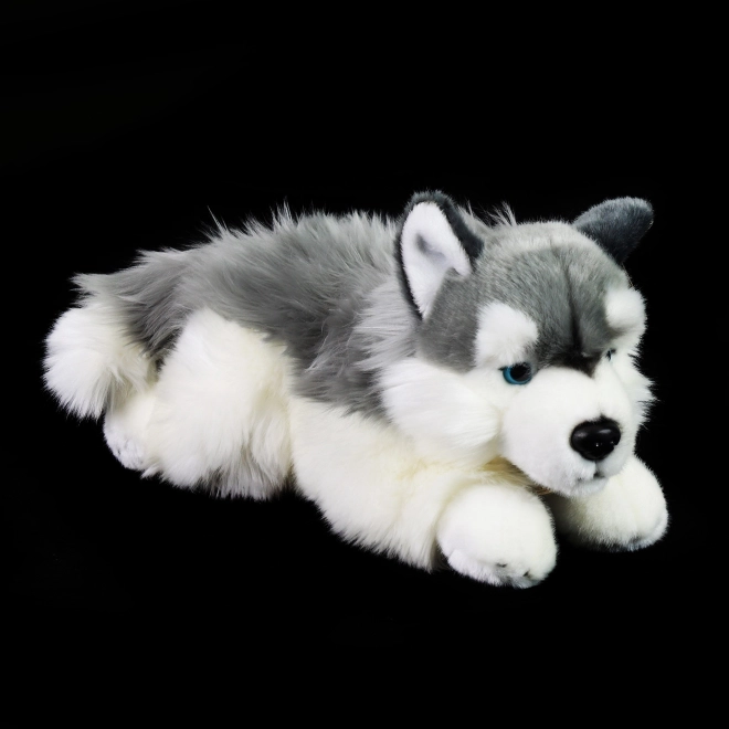 Rappa Plyšový pes husky ležící 30 cm