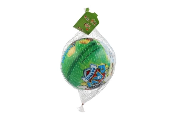 Míč paw patrol 14cm
