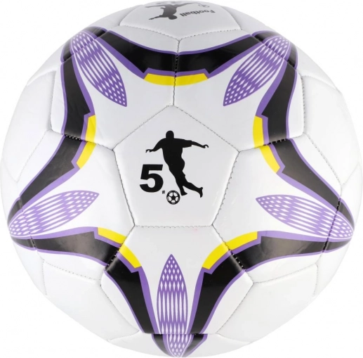 Fotbalový míč fialovobílý 23 cm