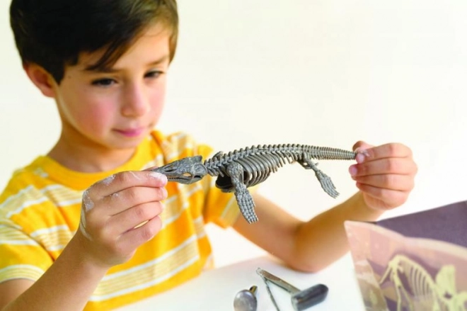 4M Mosasaurus Kostra