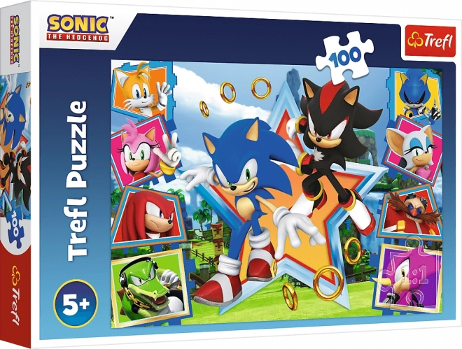 Puzzle Seznamte se se Sonicem/Sonic the Hedgehog 100 dílků 41x27,5cm v krabici 29x19x4cm