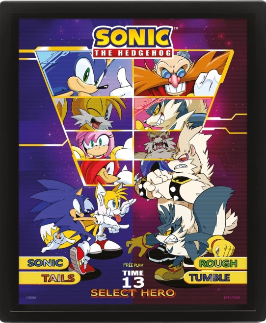 3D obraz Sonic: Vyber si bojovníka
