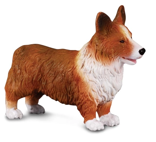 Figurka Welsh Corgi od CollectA