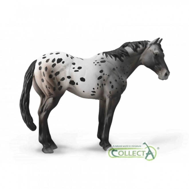 figurka koně appaloosa blue grošák COLLECTA