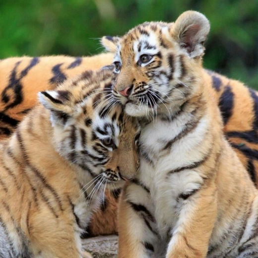 Zábava a učení v jednom