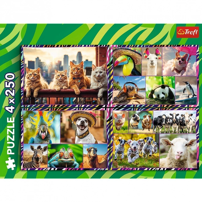 Puzzle 4x250 prvků Zábavná zvířata