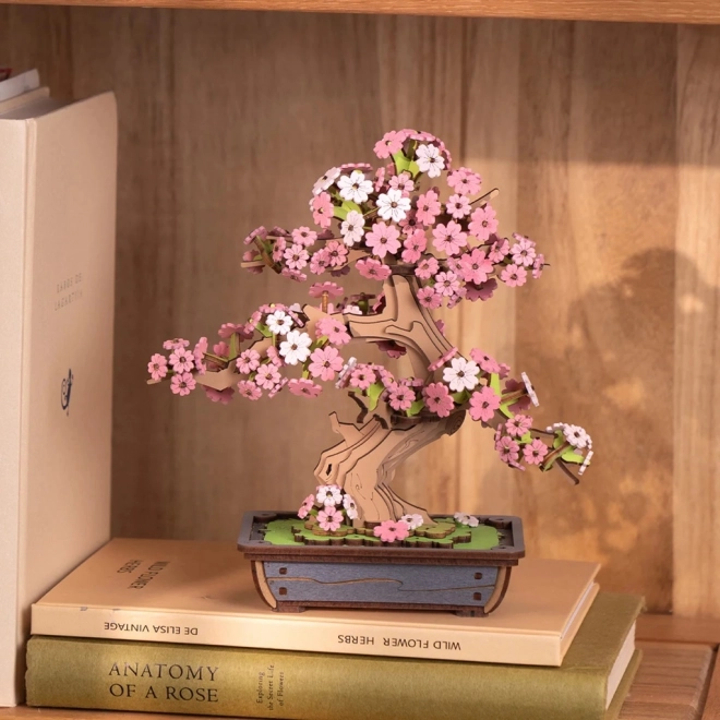 3D dřevěná skládačka Bonsai Sakura