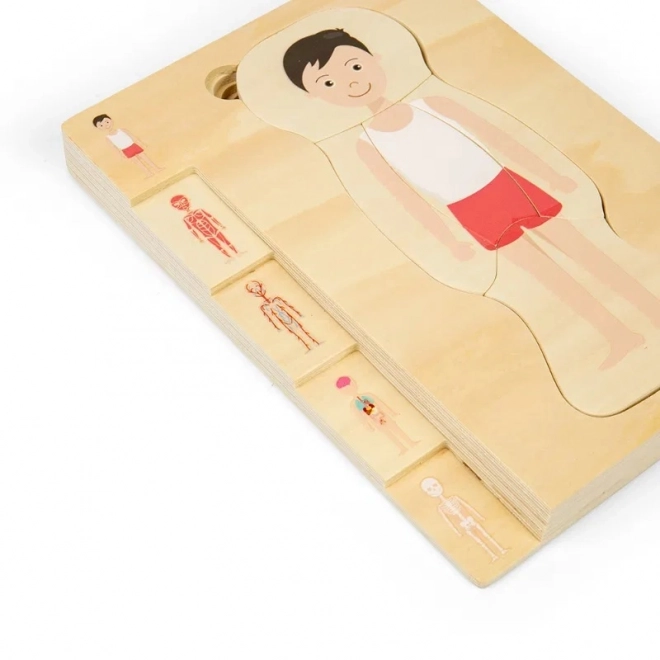 Dřevěné puzzle anatomie - chlapec