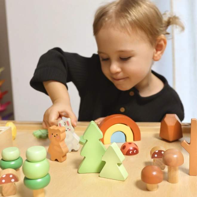 Lesní sada s dřevěnými kostkami Tooky Toy