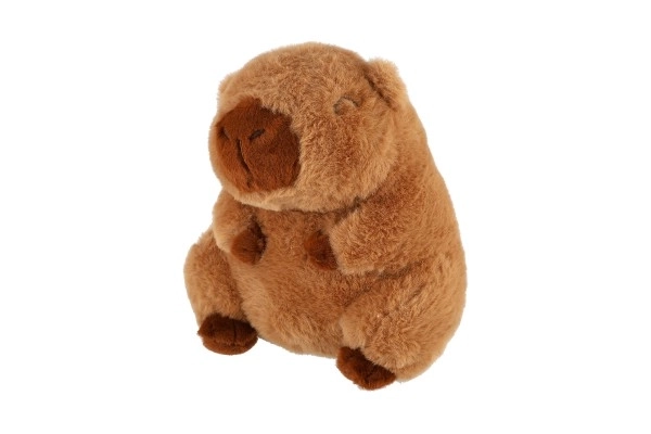 Plyšová Kapybara 22 cm