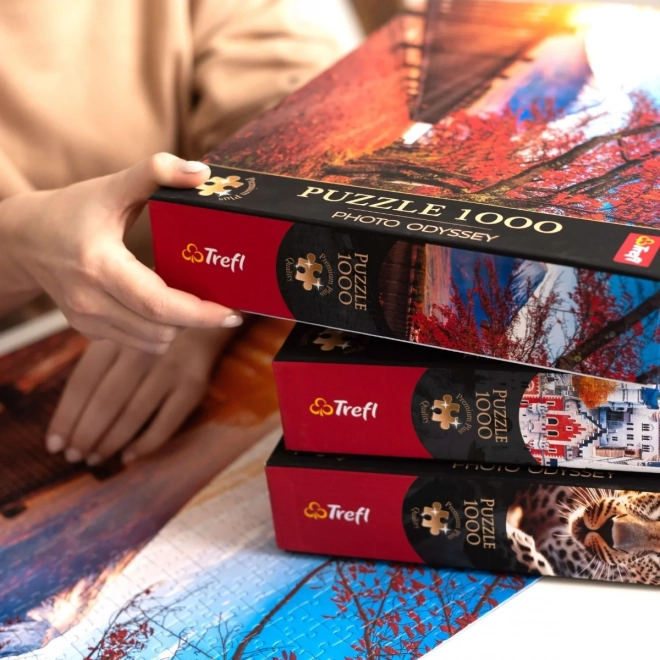 Puzzle 1000 dílků Kvalita Premium Plus Město Riomaggiore Itálie