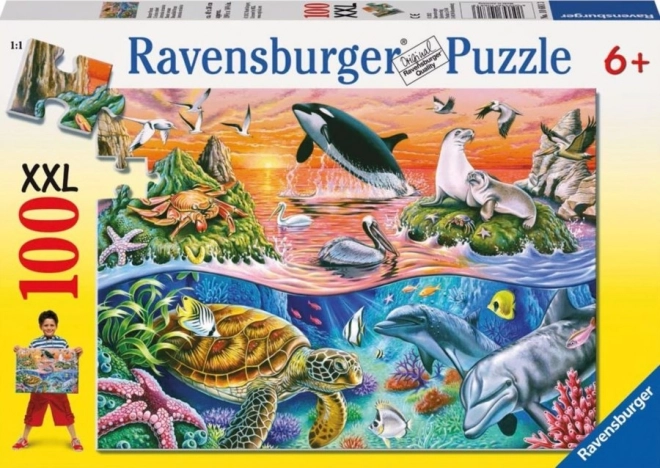 Puzzle Nádherný oceán XXL od Ravensburger 100 dílků