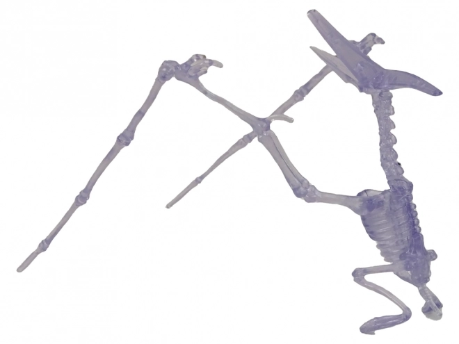 Skládačka Dinosaura Svítící ve Tmě