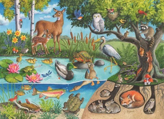 Puzzle zvířata na zemi i pod ní – tajemství přírody 60 dílků