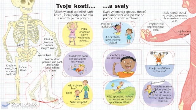 Podívej se do svého těla