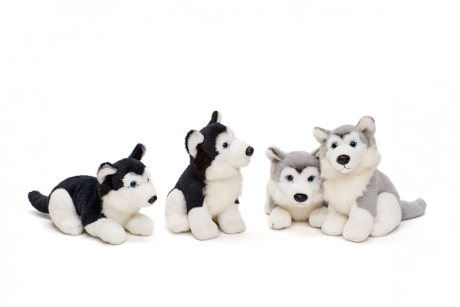 Plyšový husky 15 cm