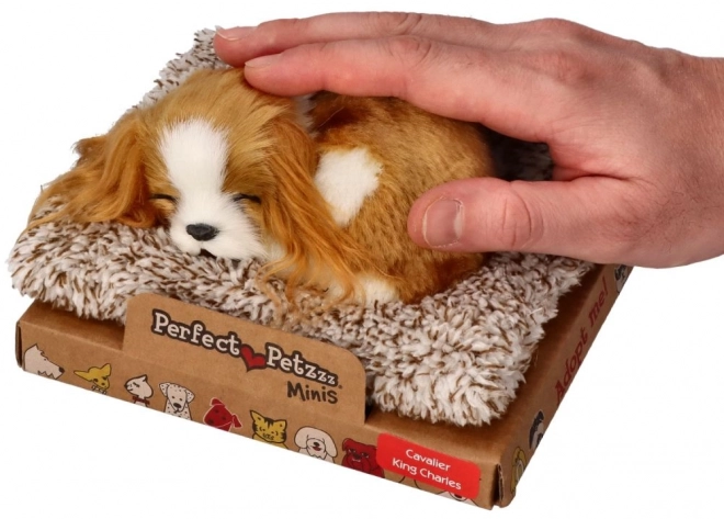 Spící štěňátko Cavalier King Charles Perfect Petzzz