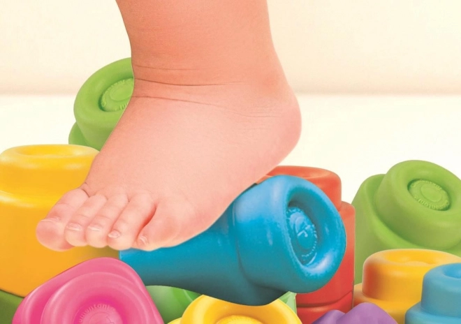 CLEMENTONI SOFT CLEMMY Box s víkem Pejsek se 6 kostkami