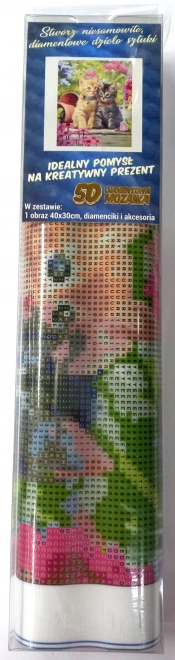 Norimpex Diamantové malování Koťata v zahradě 30x40cm