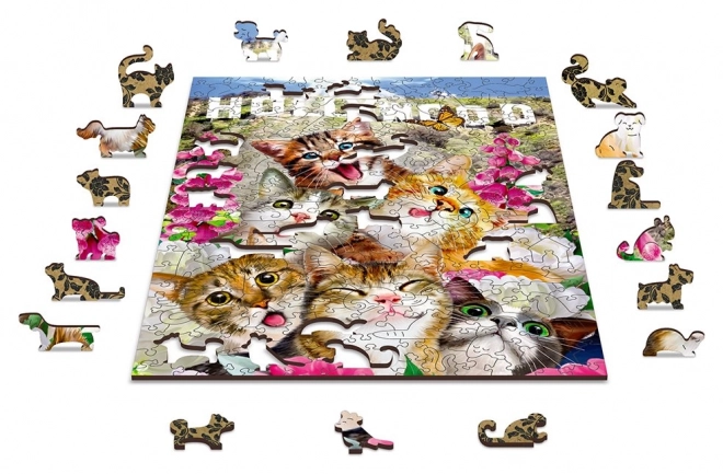 Dřevěné puzzle Koťata v Hollywoodu 2v1, 75 dílků