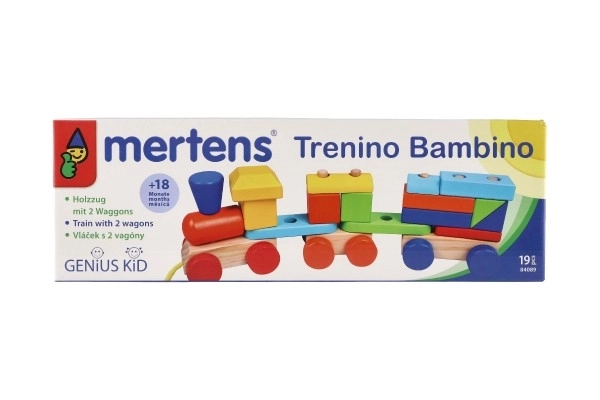 Barevný dřevěný vláček s vagóny od Mertens