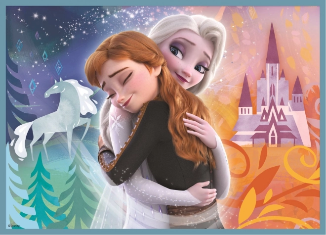 Frozen Puzzle 4v1 (12, 15, 20, 24 dílků) - Nádherný svět