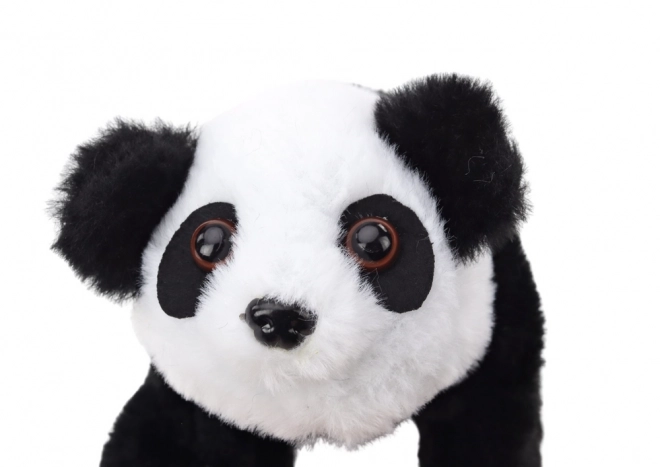 Interaktivní plyšová panda v růžovo-modrém přepravníku