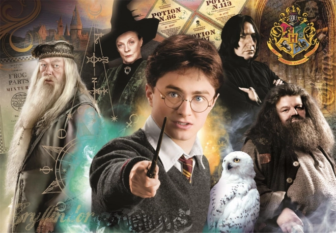 puzzle 1000 dílků compact harry potter clementoni